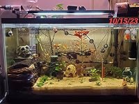 Review Image by Andrew McNamara Andrew McNamara