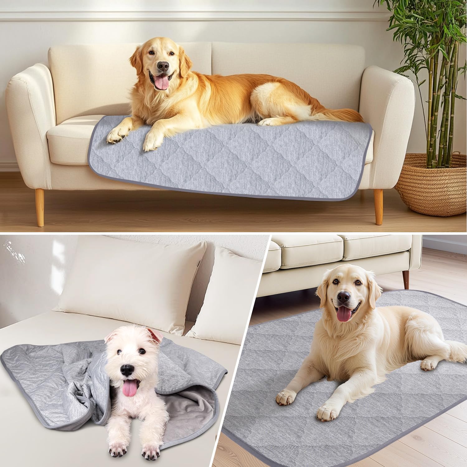 MH MYLUNE HOME Premium-Kühlende Hundedecke, ultraweich & leicht, wendbar, waschbar, Q-MAX >0,4 für Sommer, Couchschutz & Bettbezug, wiederverwendbar mit integriertem Gurt, 75x100 cm