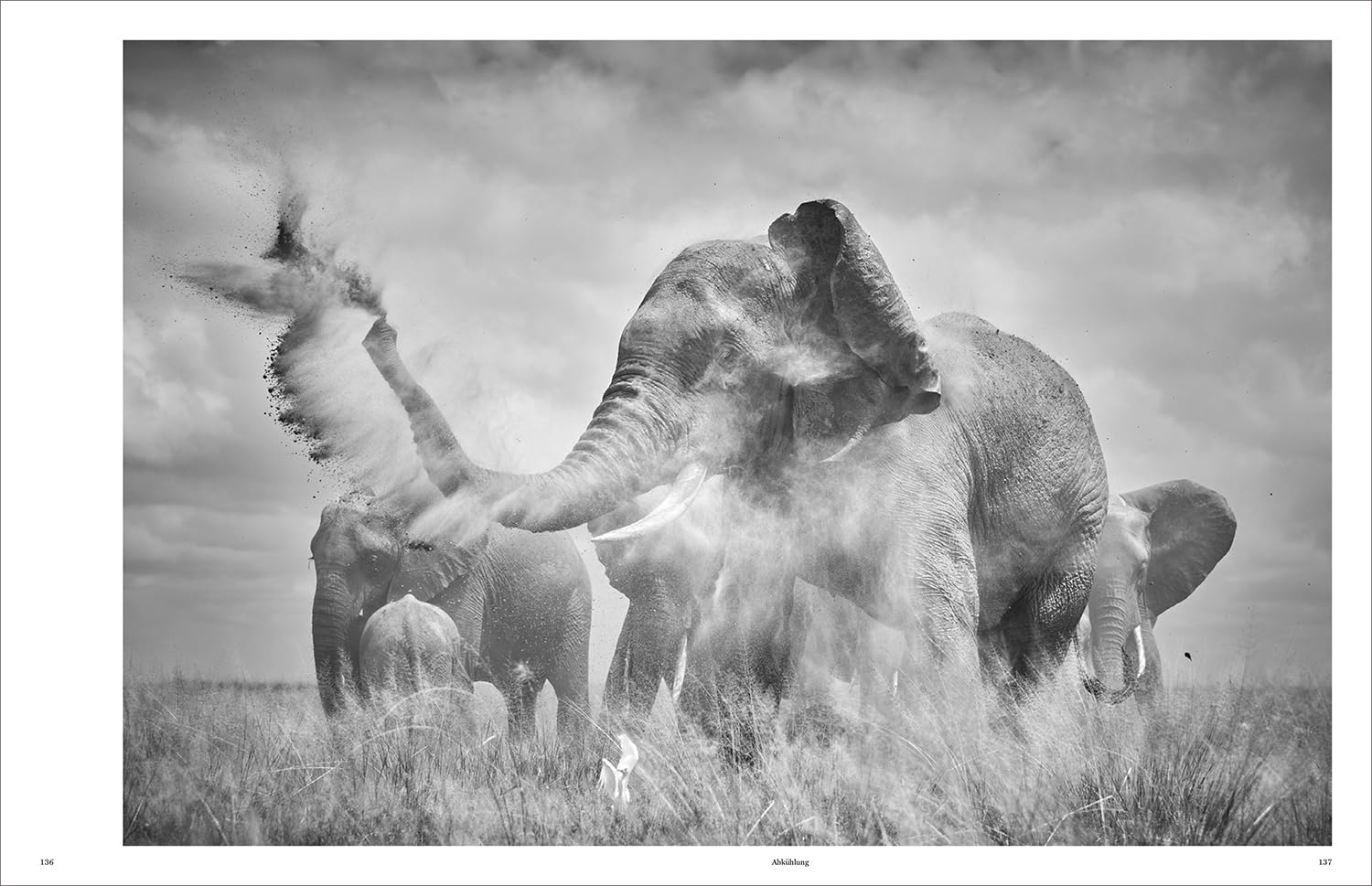 KUNTH Bildband Wild und frei