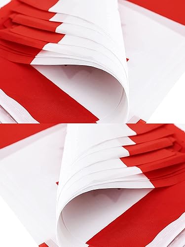 Vista 105 de ZXvZYT Cadena de bandera haitiana de Haití, pequeñas mini banderines de Haití, para gran apertura, eventos deportivos nacionales, decoraciones