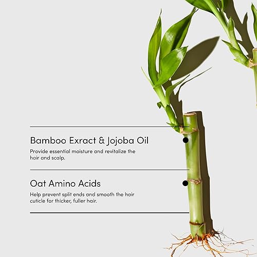 Miniatura 5 de LATHER Acondicionador de enjuague de crema de bambú  Acondicionador de aceite esencial  Acondicionador con bambú, aceite de jojoba y aloe vera