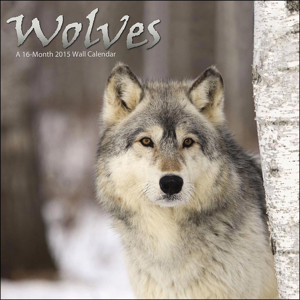 Wolves 2015 Wall Calendar