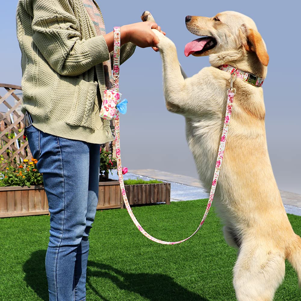 Personalisiertes Hundehalsband, Leine mit Tasche, Nylon, Bedruckt, Haustier-ID-Halsbänder, Führstrick, tragbare Hunde, Reisetasche für Snack-Pfeife, Schlüssel