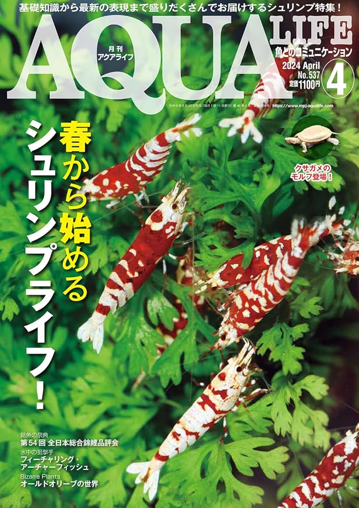 月刊アクアライフ 2024年 04 月号 春から始める シュリンプ