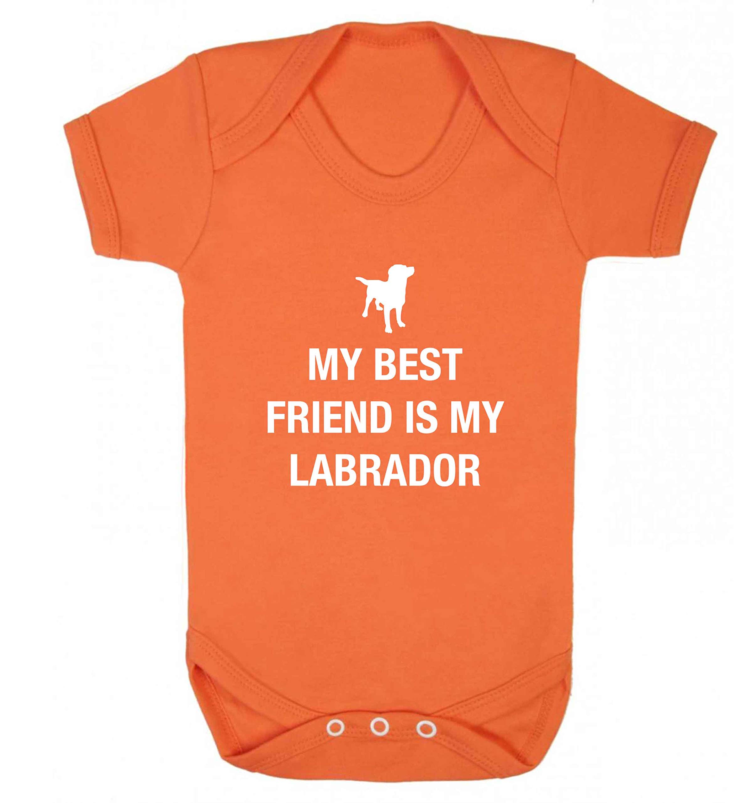 Flox Creative Baby Vest Best Friend Labrador Orange 0-3 Months
