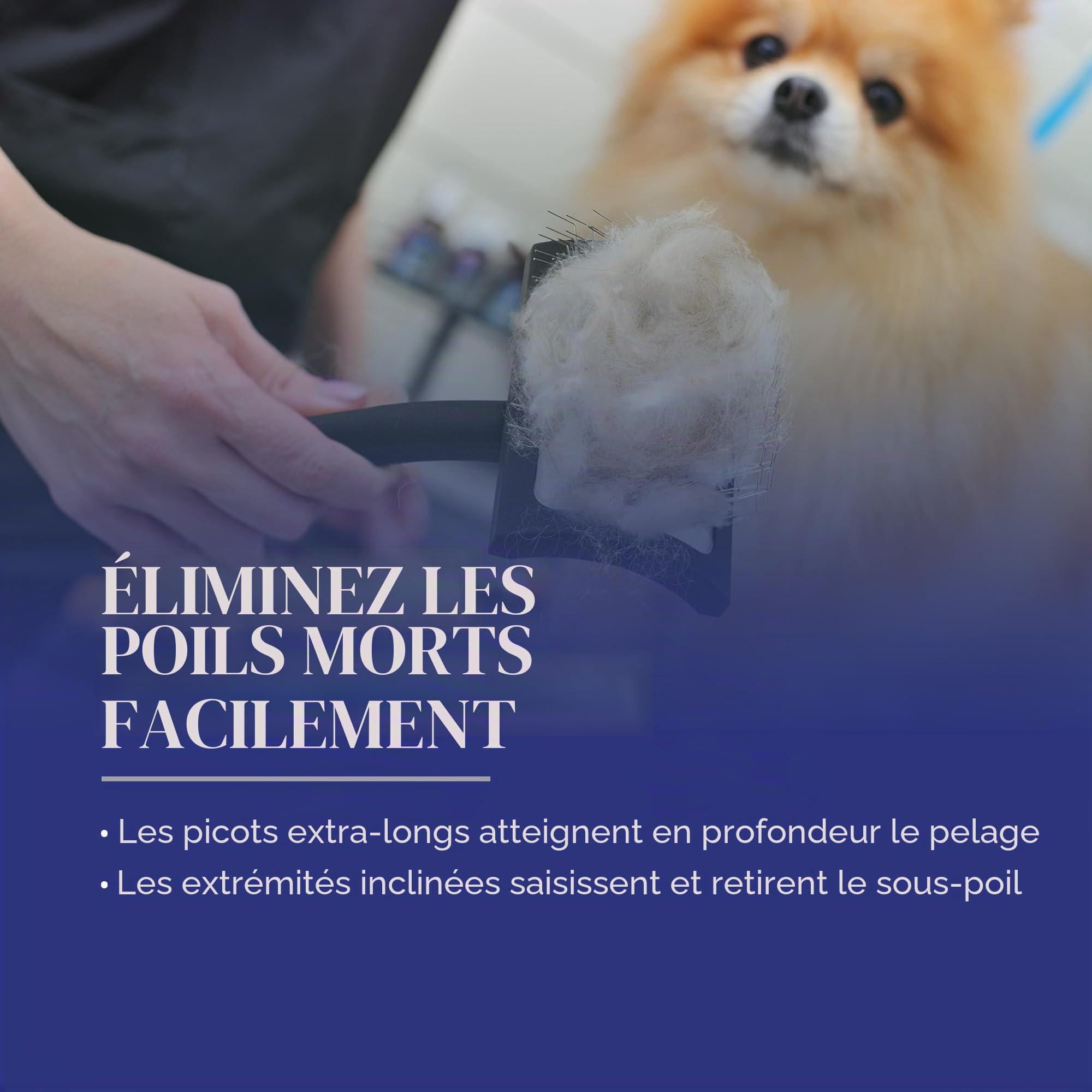 Chris Christensen Baby K Brosse démêlante pour chien Groom Like a Professional Style pelucheux Économie d'énergie Noir Taille S