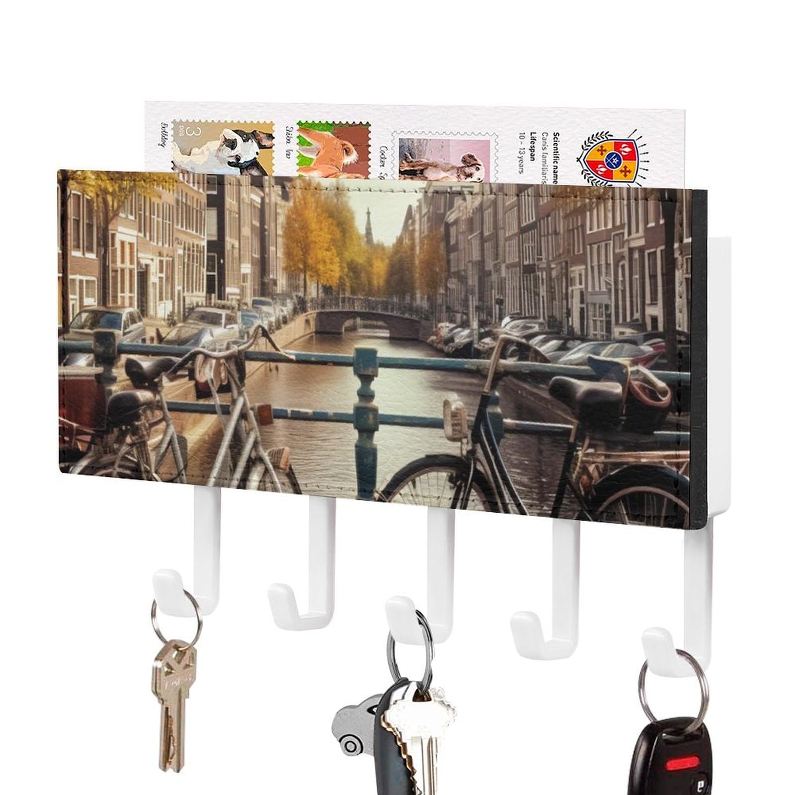 DWVTSLH Bicycles Key Holder for Wall, Decorative Key Hooks with Mail Organizer & 5 Hooks, Self Adhesive Leather Key Hanger for Entryway, Wall Mounted Key Rack (7.1” X 4.3” X 0.9”)