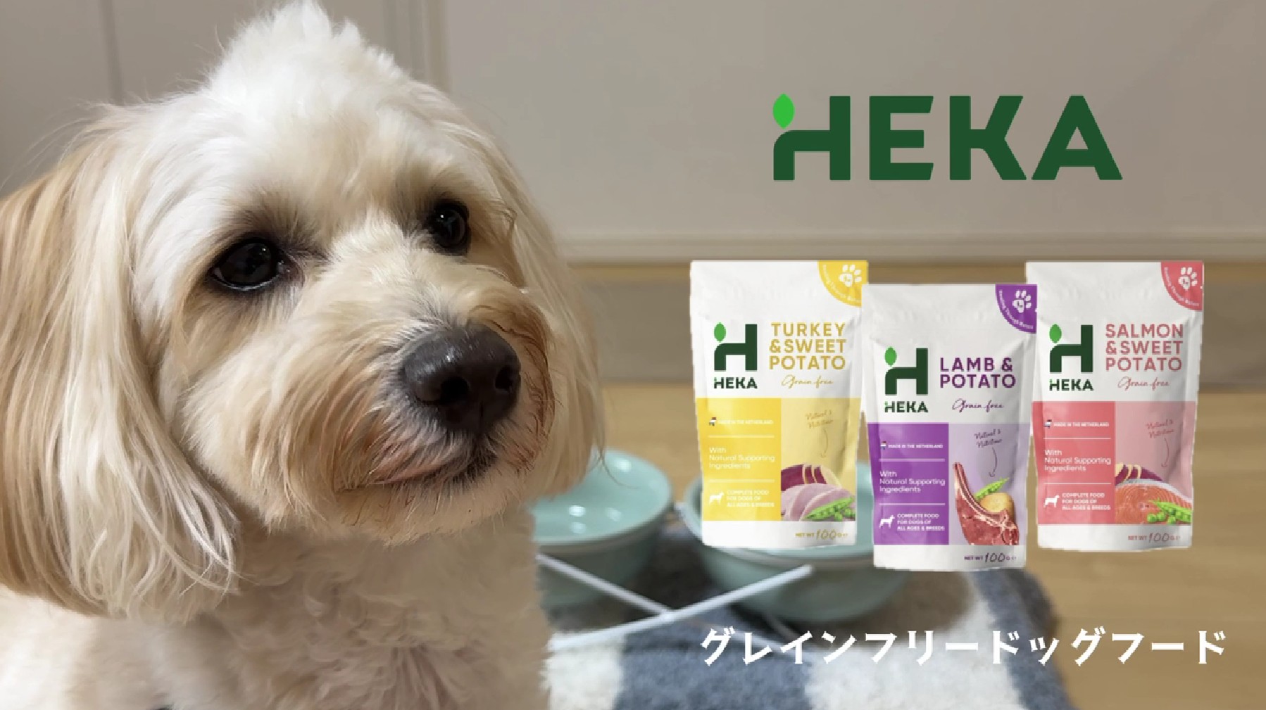 Amazon.co.jp: HEKA グレインフリー ドッグフード ラム ポテト 全犬種 