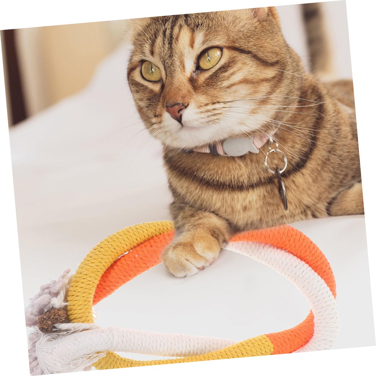 POPETPOP 15 Pièces Jouets De Corde À Mâcher pour Chat Jouets De Meulage De Voiture De Chat pour Chats D'Intérieur De Poignée De Chat d'herbe À Chat De Morsure