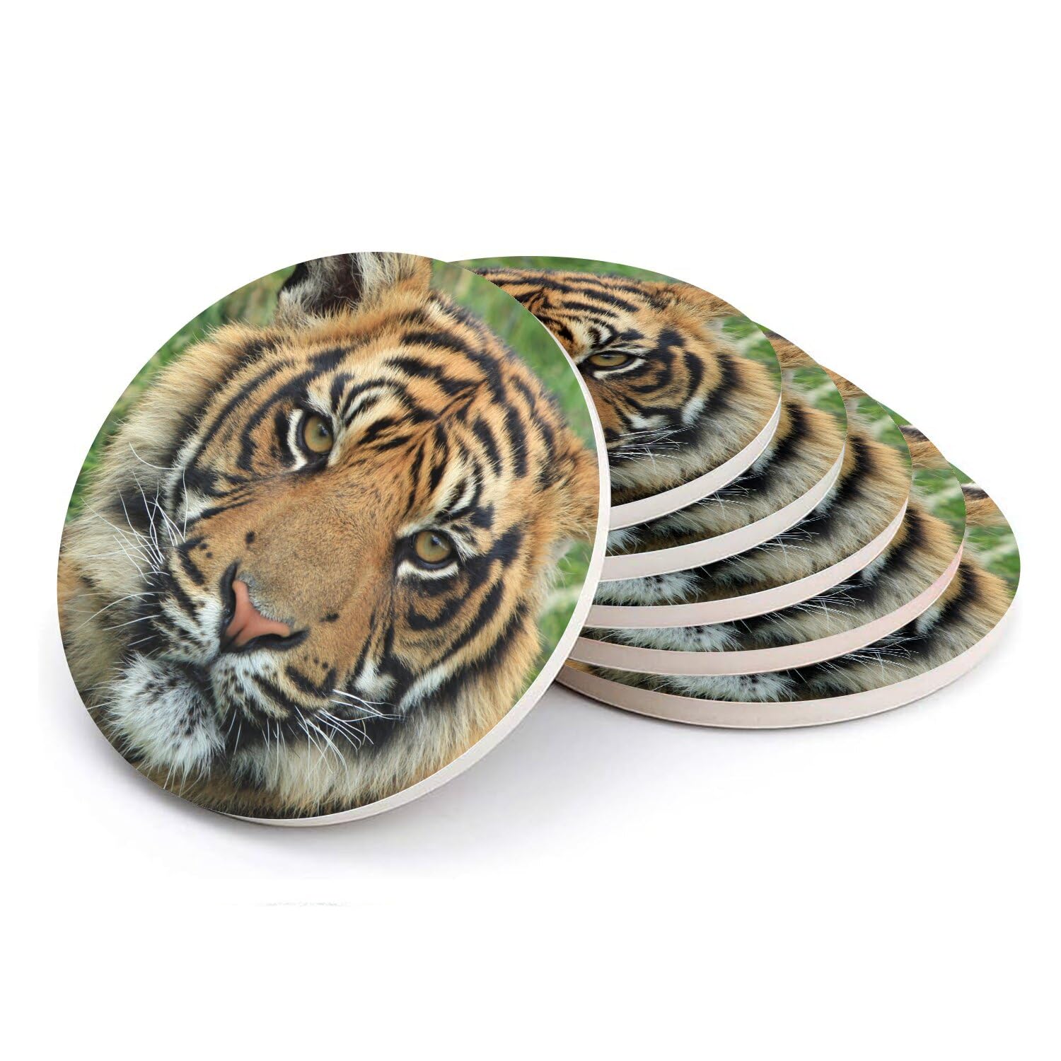 Sous-verres céramique tigre en lot de 6, le cadeau idéal pour les passionnés de vie sauvage