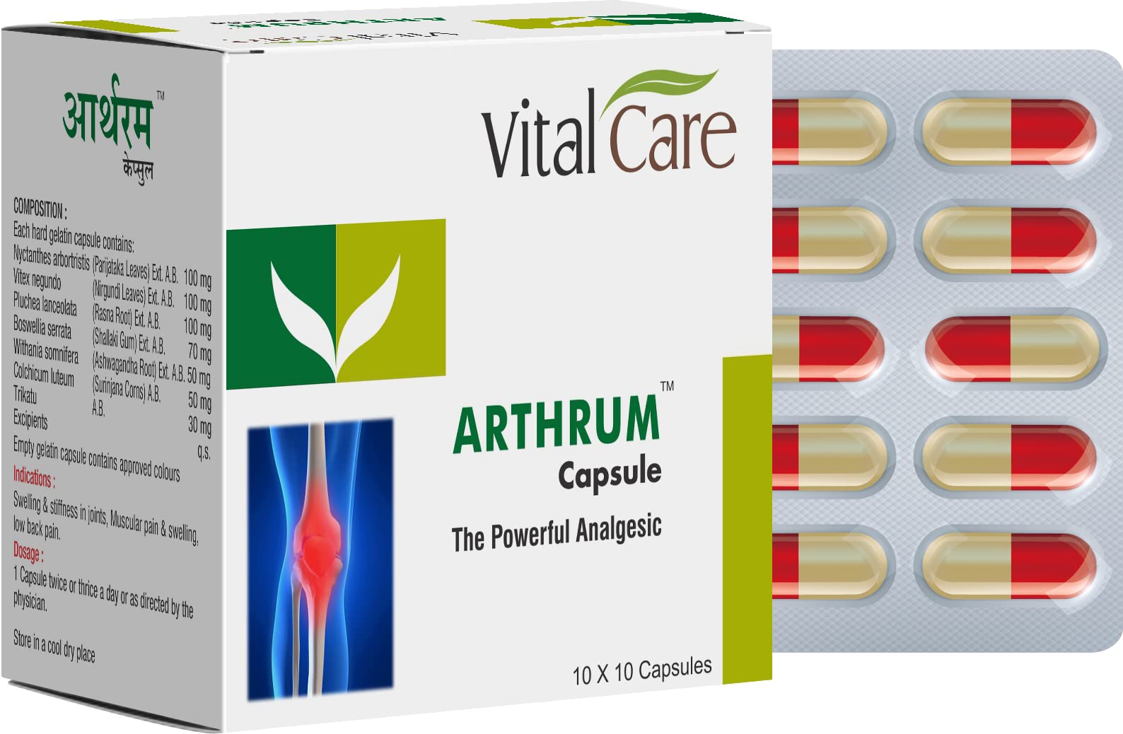 Arthrum Capsules (100 Capsules) – Ayurvedic Support for Joint Health-image-26