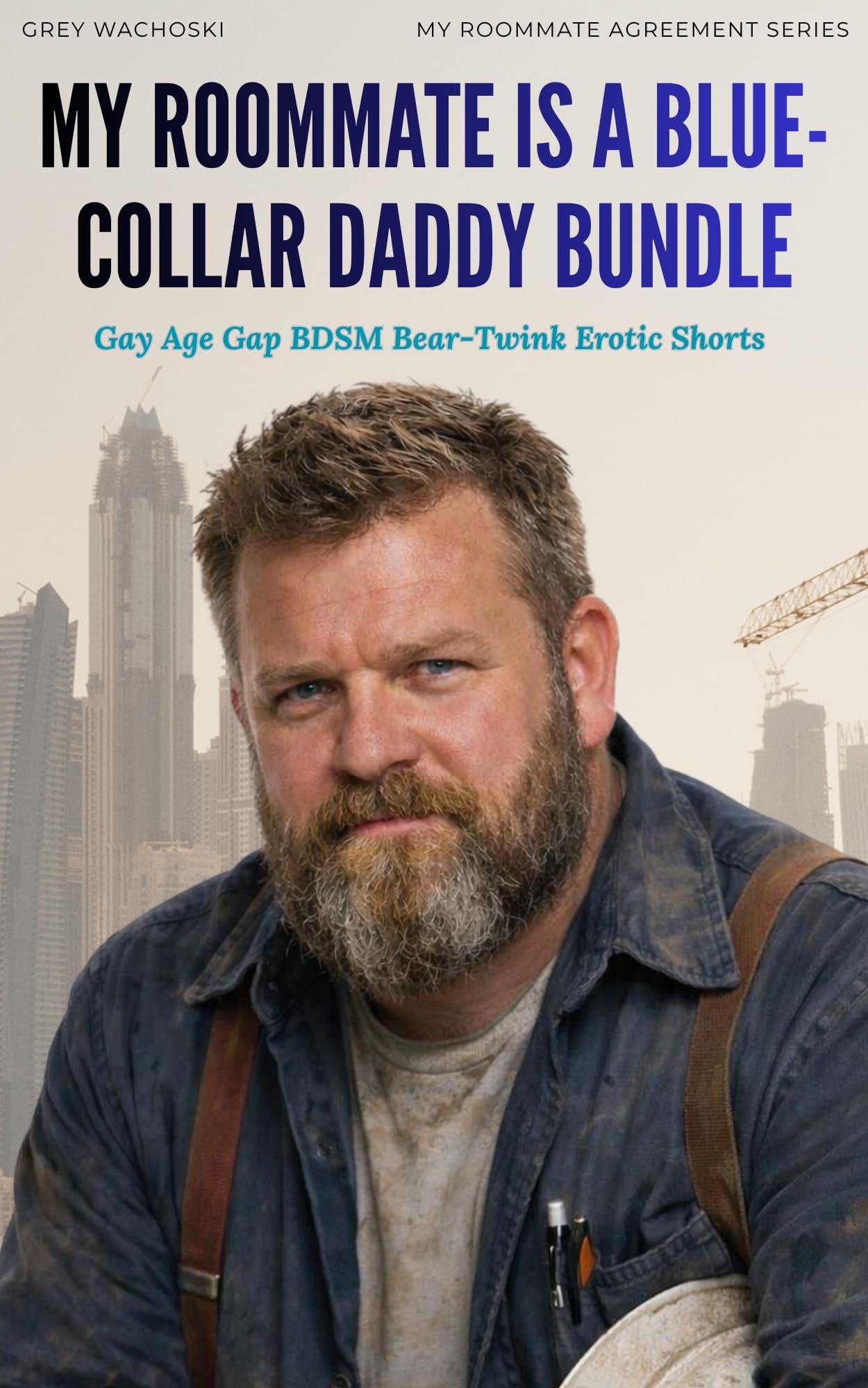 My Roommate is a Blue-Collar Daddy Bundle cover