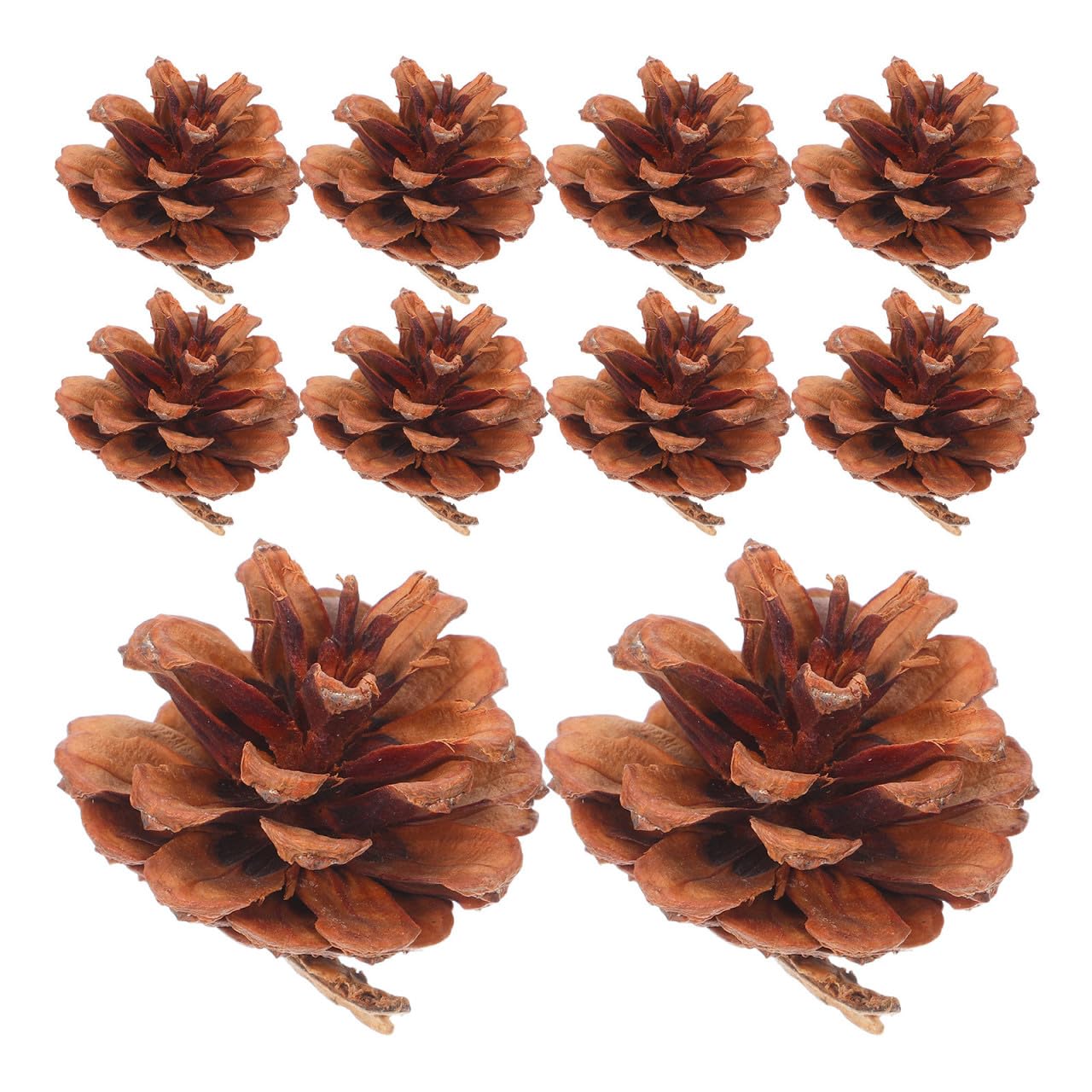 ULTECHNOVO 130 Pezzi Pigne di Natale Mini Naturali 3-4cm Decorazioni Rustiche per Albero di Natale e Riempitivi per Vaso per Decorazioni Invernali e Matrimoni