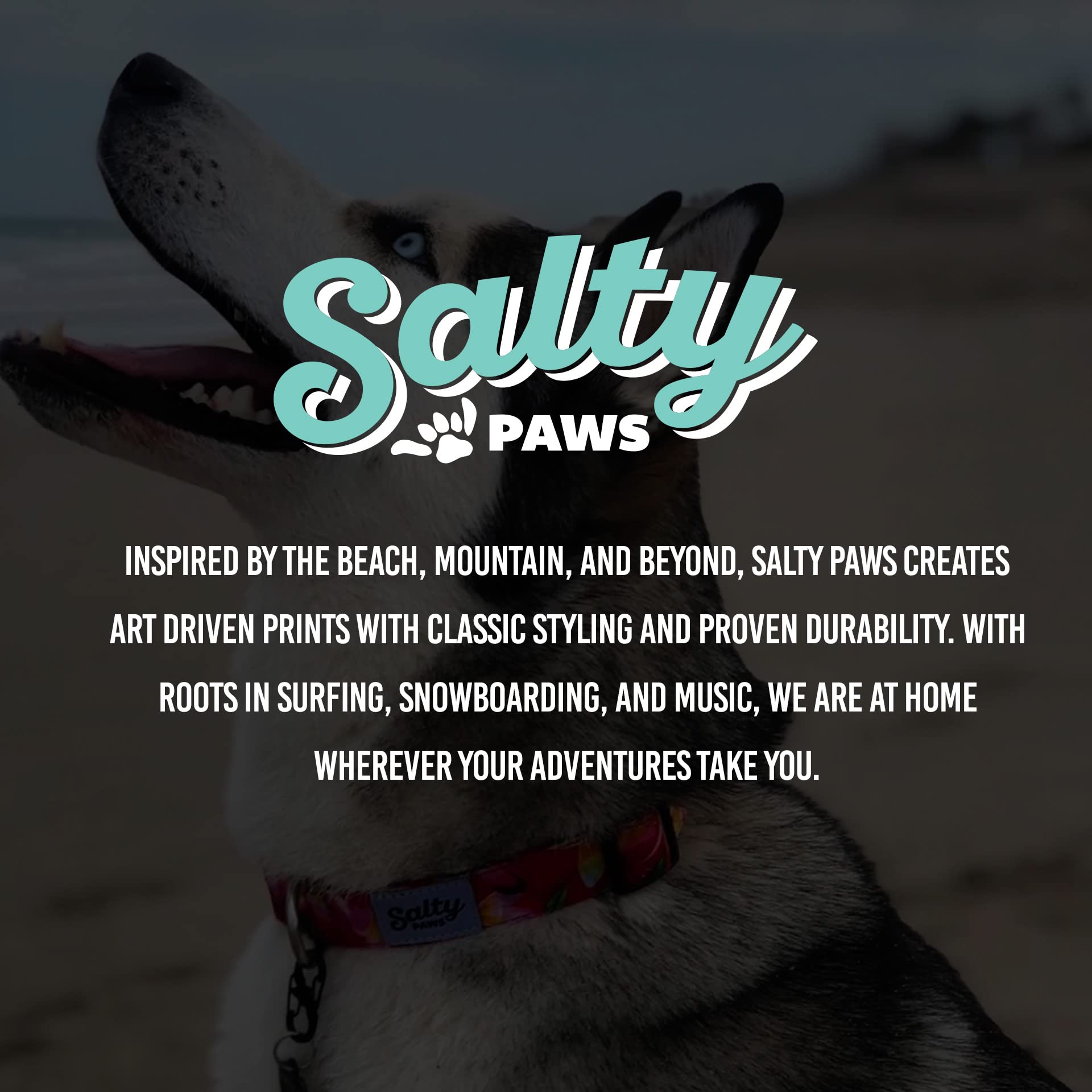 Shaka's Salty Paws Obroża dla chłopców i dziewczynek mała średnia duża (niebieska fala, obroża dla małego psa przym. 25-40 cm dla psów do 11 kg)