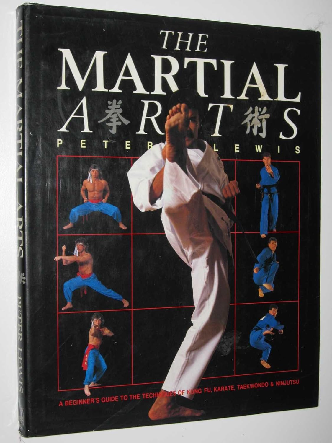The Martial Arts A Beginner's Guide to the Techniques of Kung Fu