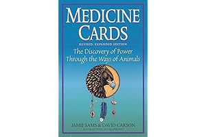 US Games Medicine Cards & Animal Spirit