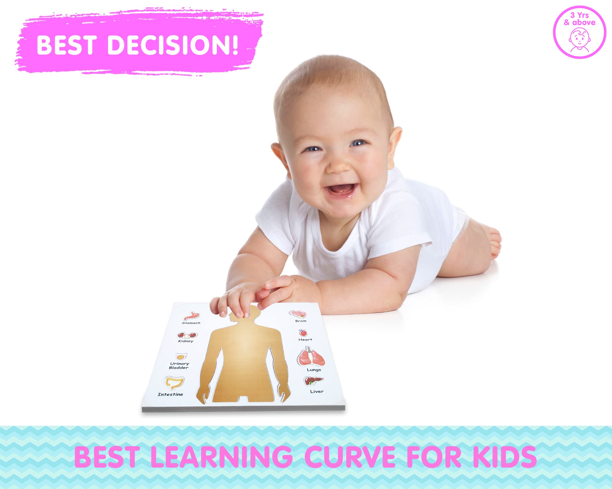 Preschool Game for Learning Human Body Parts Anatomy Skeleton - Educational Wooden Puzzles - Gift Toys for Boy and Girl - Image 7