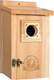 SISTERBIRD Bird Houses for Outside, Bluebird Houses for Outside, Wooden Birdhouses for Outdoors, Garden Decoration Bird House, Nesting Birdhouse, Bluebird Finch Swallow Wren Chickadee