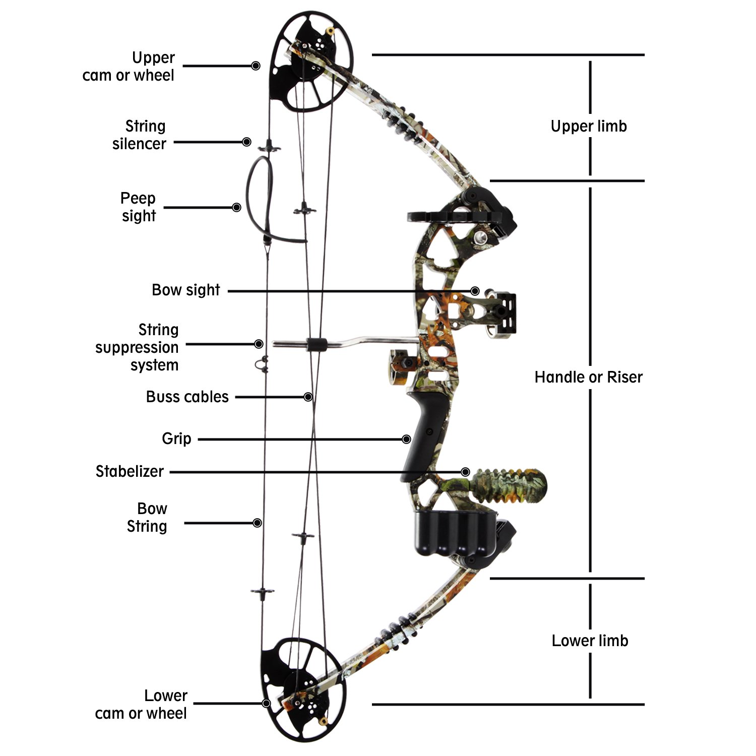 Arco Compuesto De Caza Y Entrenamiento 30-60 Lbs | Con Visera De 5 Pines Y 12 Flechas De Carbono | 75% Ahorro De Fuerza | Kit Completo