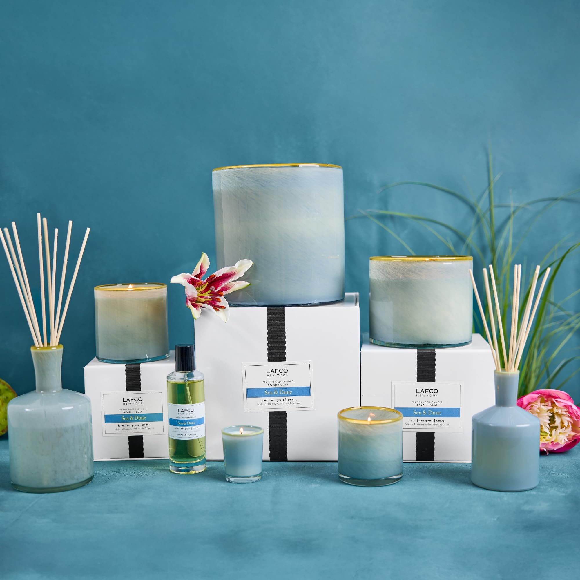 Amazon.com : LAFCO New York Signature Candle, Sea & Dune - 15.5 oz