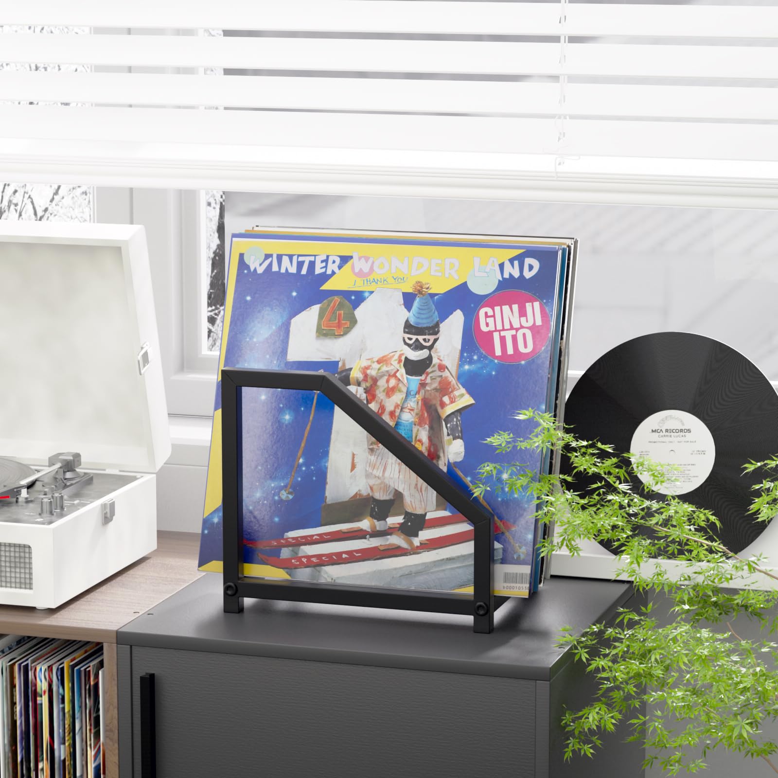 MayRecords Supporto per dischi in vinile nero in metallo da tavolo per LP