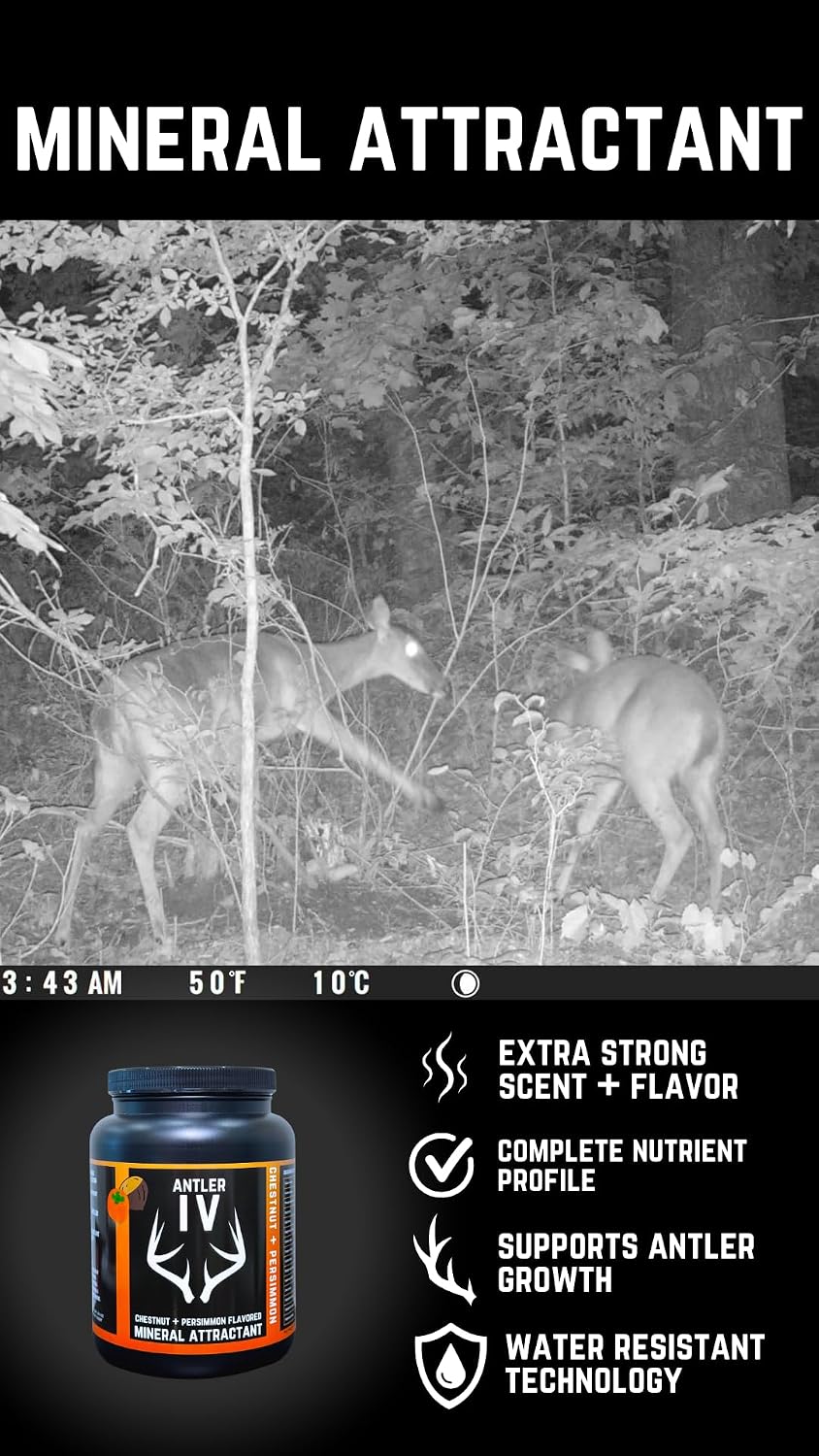 Antler IV Mineral Attractant, 5.5lb jug or 30lb Bucket, Highly Attractive Chestnut and Persimmon Flavor and Scent