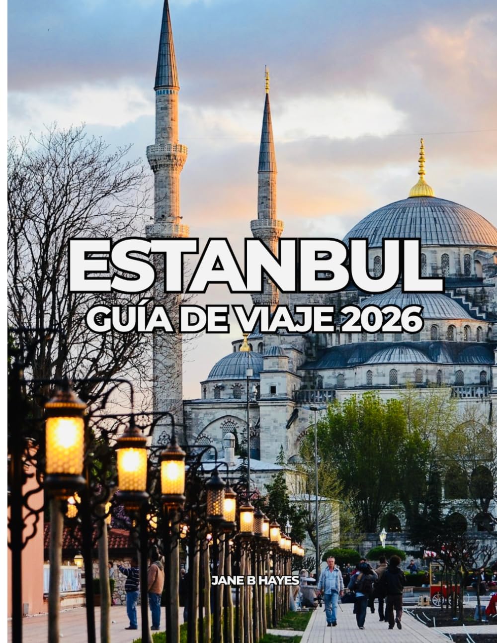 ESTANBUL GUÍA DE VIAJE 2026: Viajes asequibles a través de una ciudad atemporal.