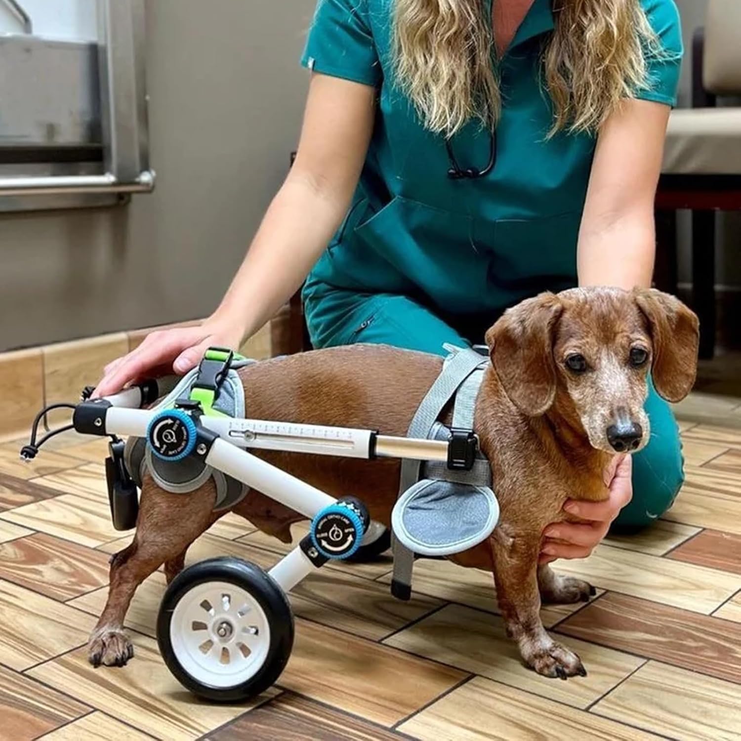 Chariot de rééducation pour chien paralysé ou blessé XXXS