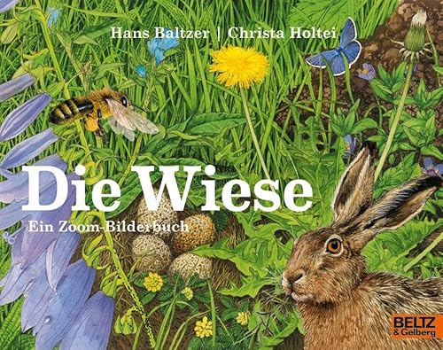 Die Wiese: Ein Zoom-Bilderbuch (MINIMAX)