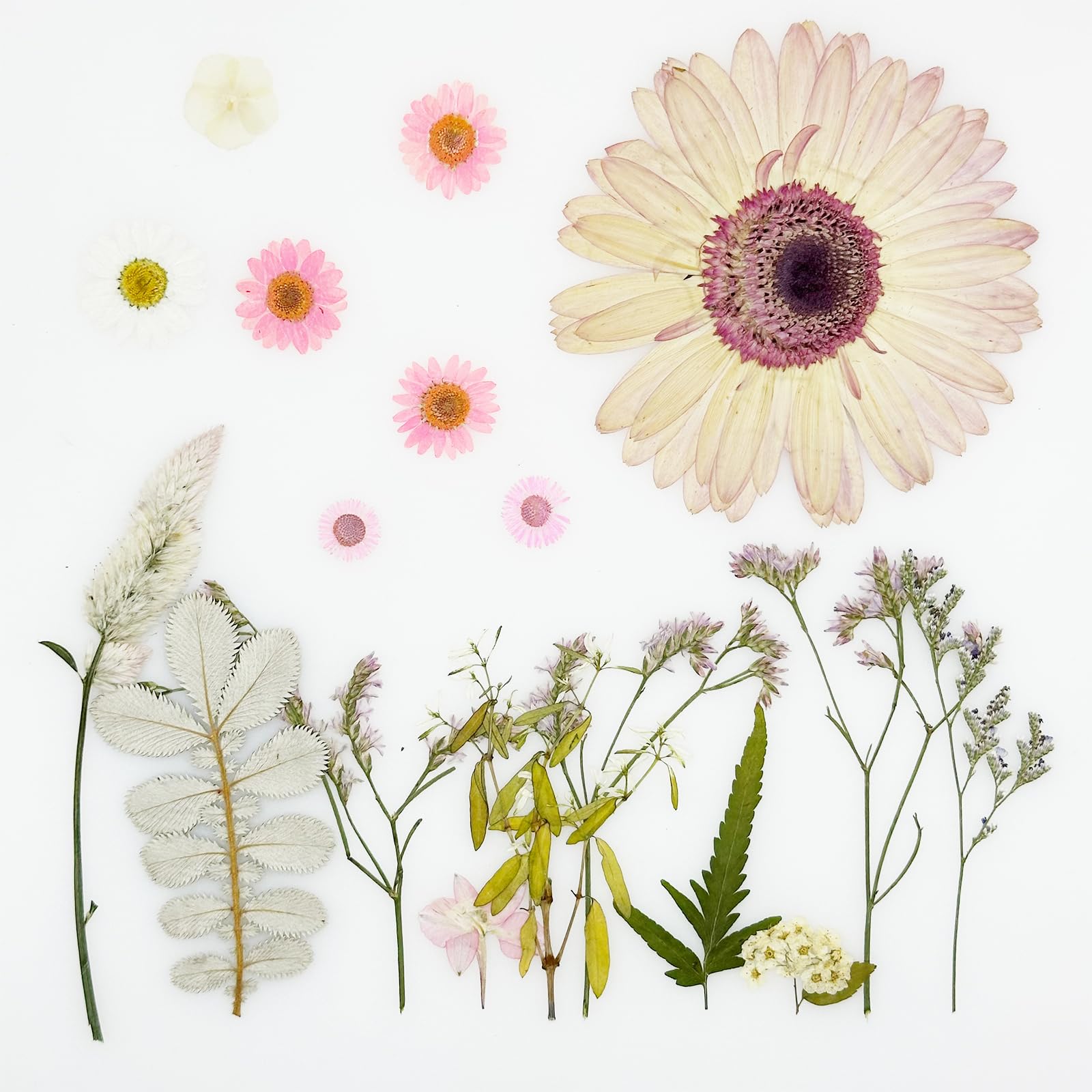 Tłoczone kwiaty, naturalne, suszone kwiaty, różowe kwiaty z żywicy, prawdziwe prasowane kwiaty do scrapbookingu, DIY, rzemiosła artystycznego, żywicy epoksydowej, artykuły jubilerskie, 44 szt