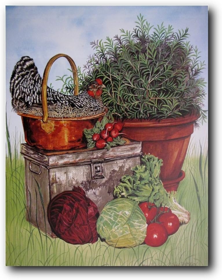 Rooster Chicken Barred Plymouth Rock Hen Kitchen Farm Animal Wall Decor Art Print Poster Picture (16x20)