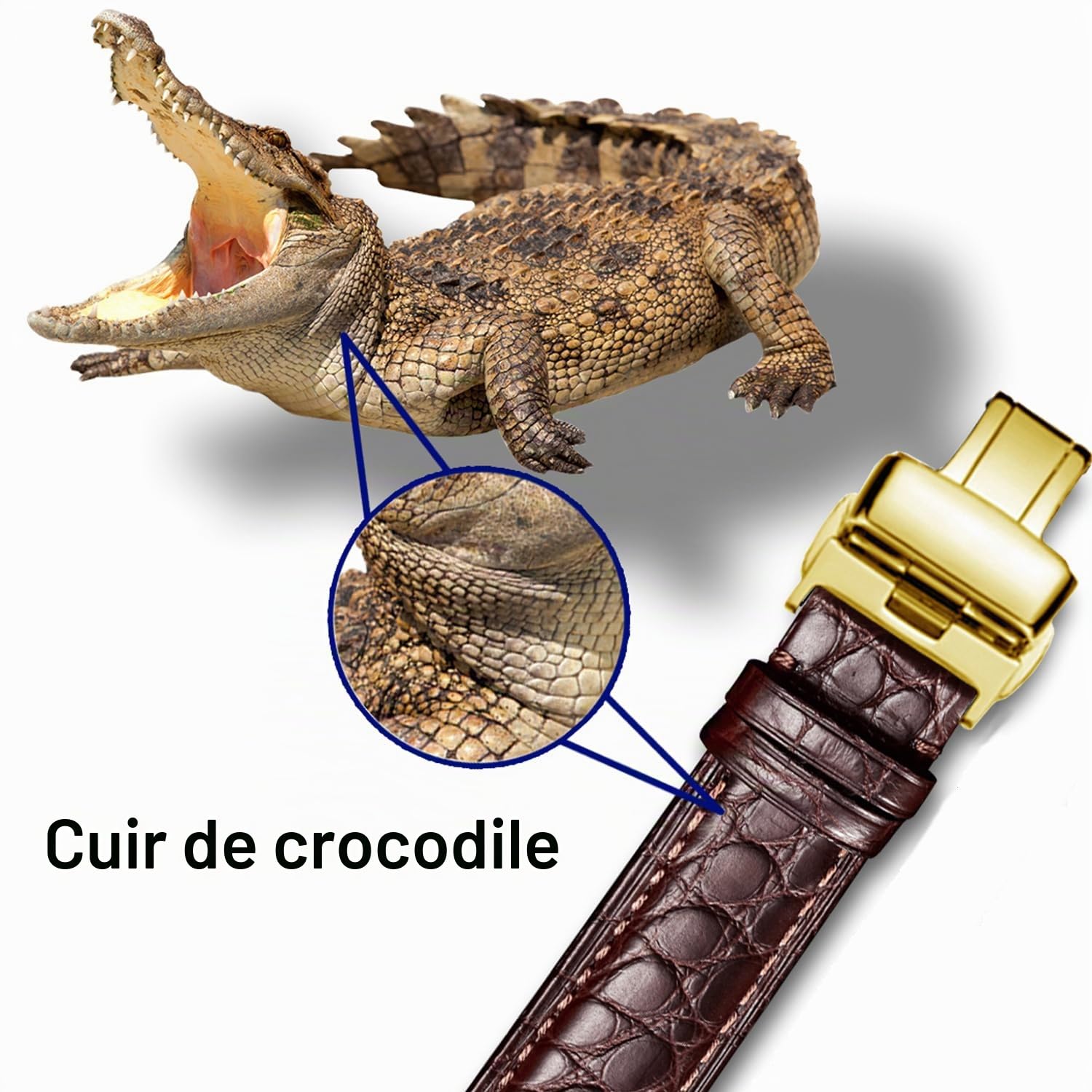 MUEN Bracelet Cuir de Crocodile Véritable avec Boucle Déployante, 12mm-24mm, Accessoires de Montre de Remplacement en Alligator Noir/Marron Bracelet de Montre