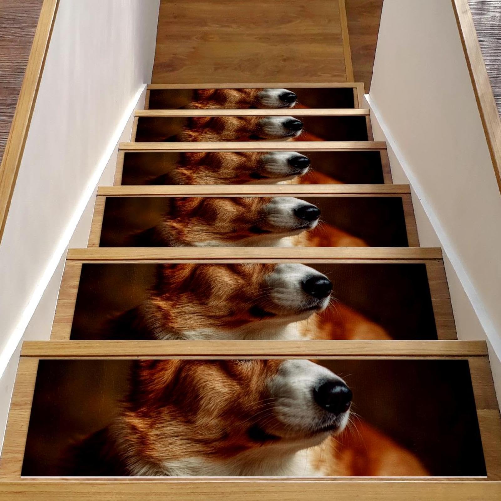Tapis d'escalier antidérapant lot 15 marches bois intérieur chien