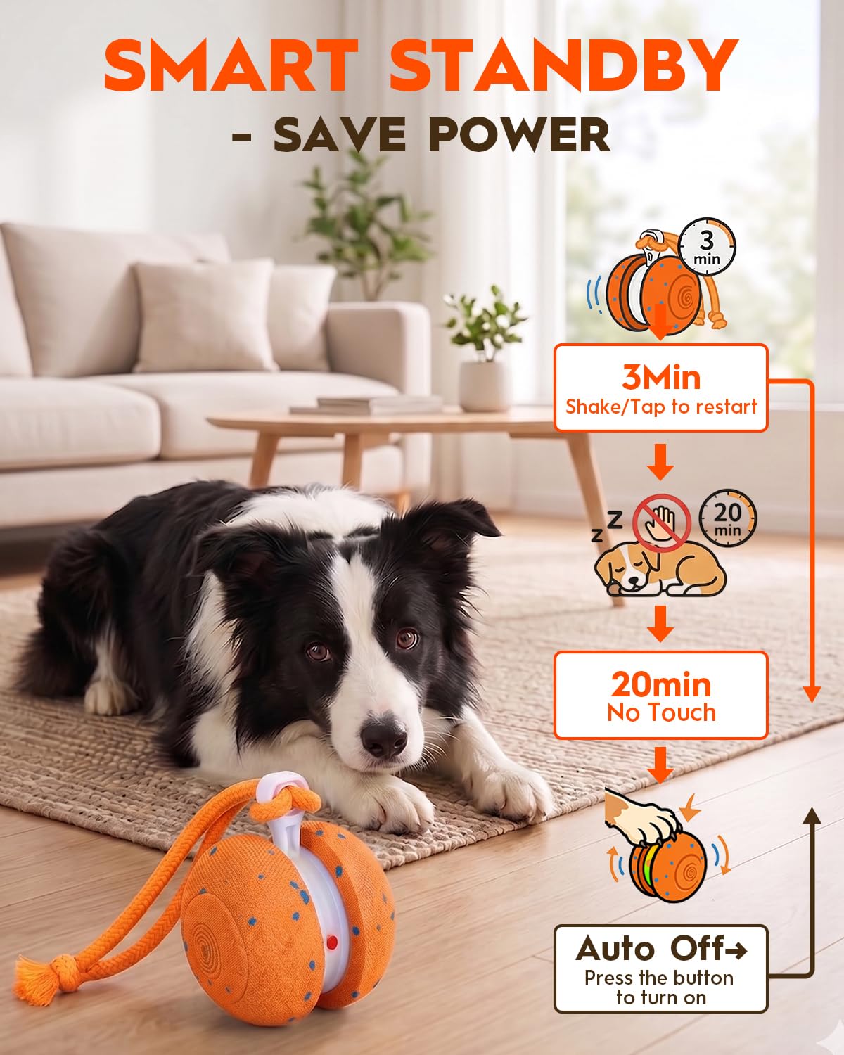 Xeuch Balles interactives à rouler pour chien - Orange