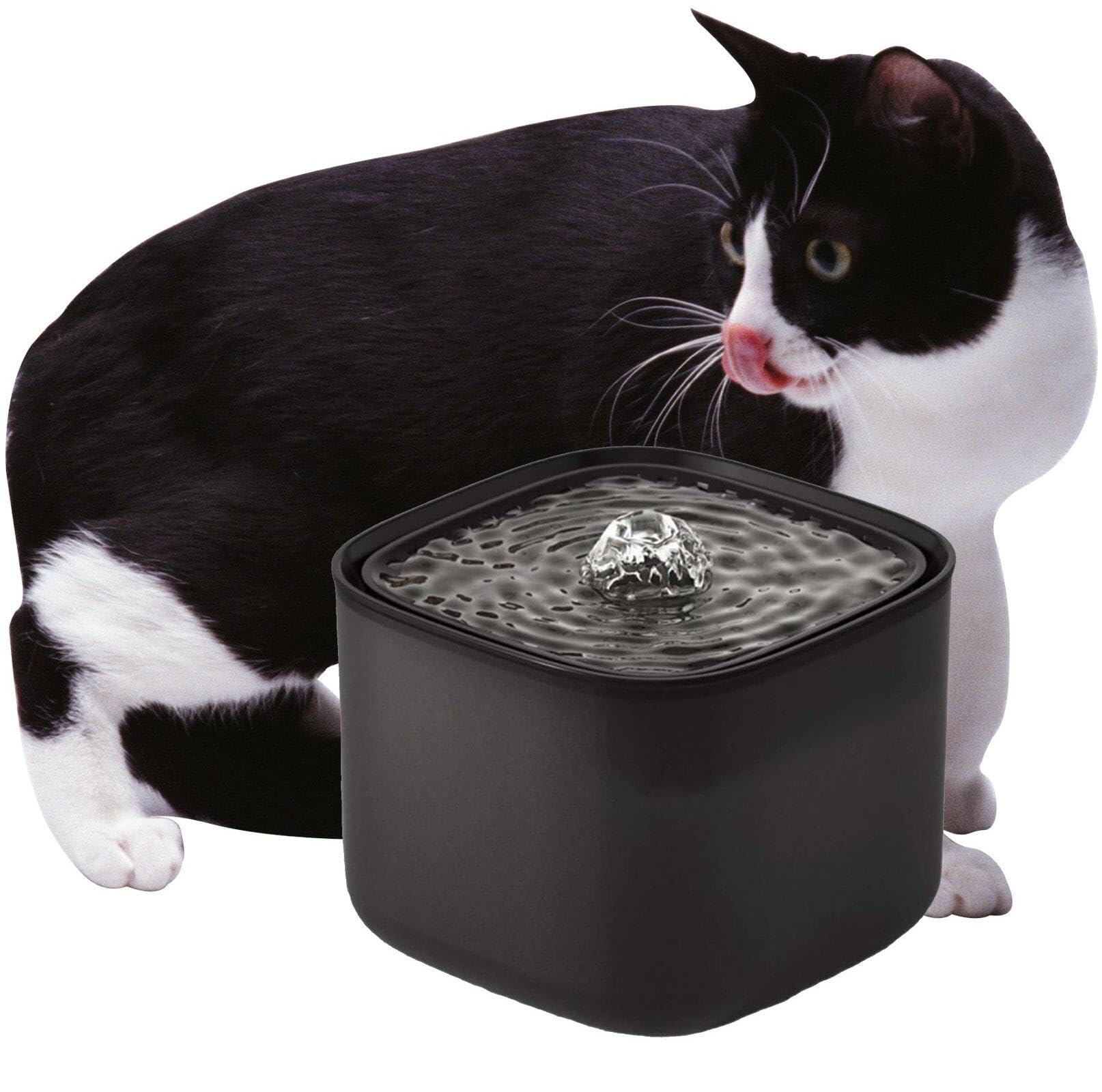 Fontaine pour chat automatique avec filtre inclus pour chats et chiens