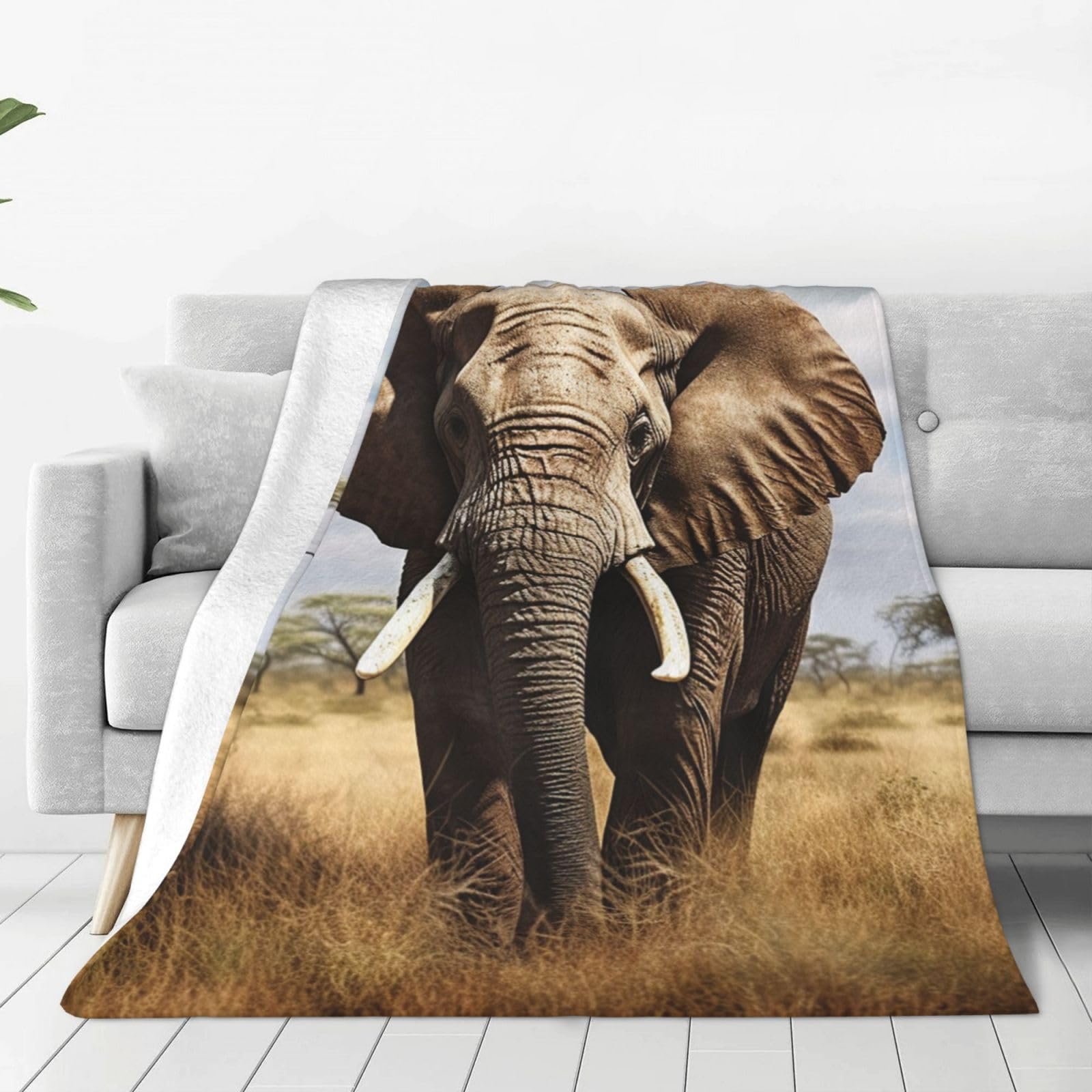 Couverture imprimée éléphant en flanelle polaire douce pour lit et canapé de 152x127 cm