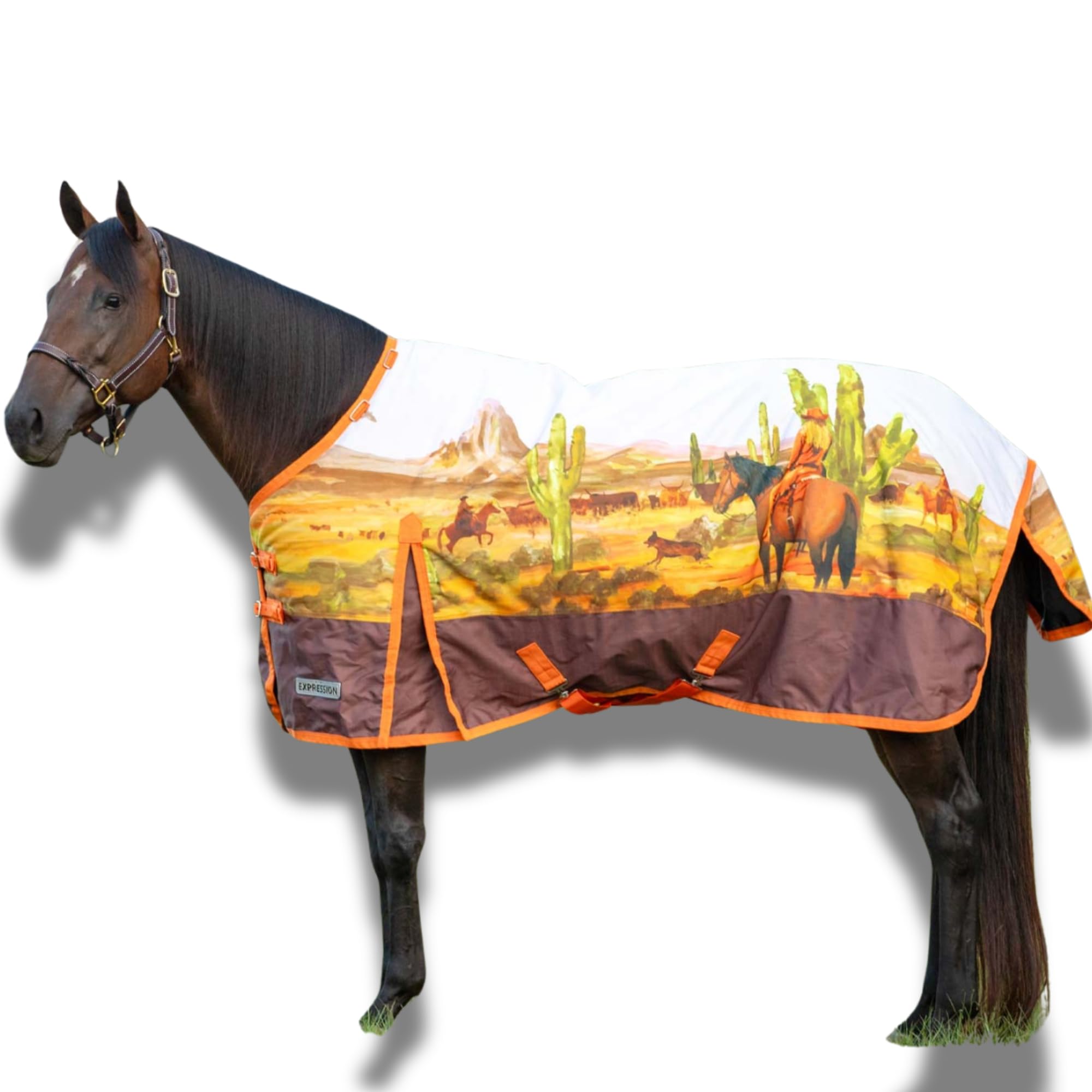 Jeffers Expression 1200 Denier Standard Neck Turnout Sheet, Cattle Drive, 69