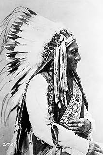24x36 gallery poster, Sitting Bull, 1885