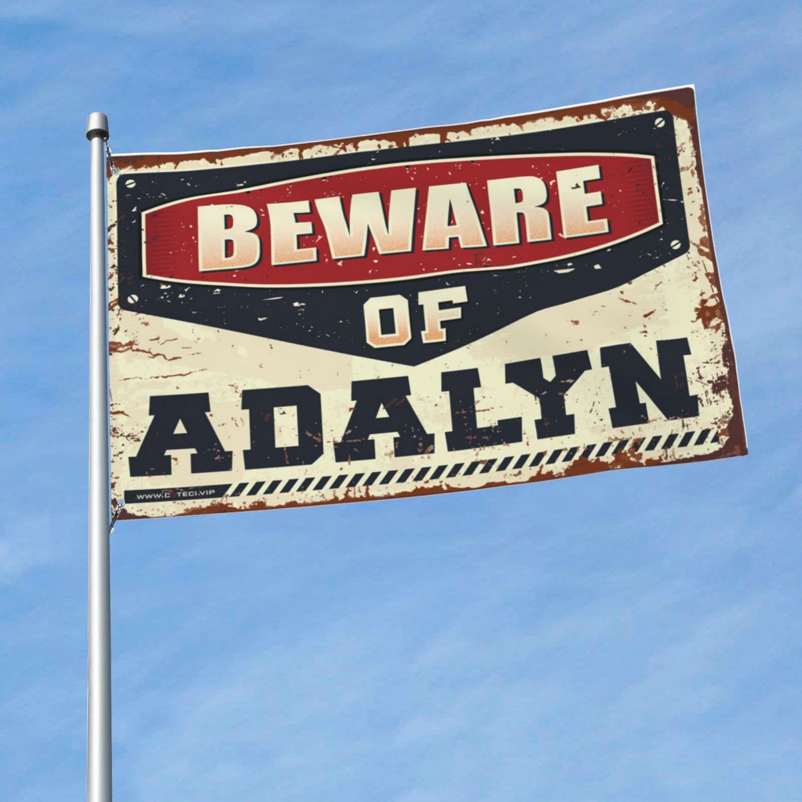 Affiches d'université et drapeau d'Adalyn avec œillets de fixation - 6
