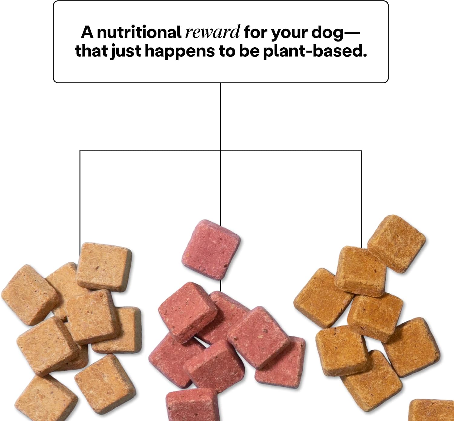 Wild Earth Performance Dog Food 4lb Bag, Veggie Chick'n Kabob Flavor + Superfood Plant-Based Dog Treats, Peanut Butter Flavor Bundle | Vegetarian, Wheat-Free, Veterinarian-Developed