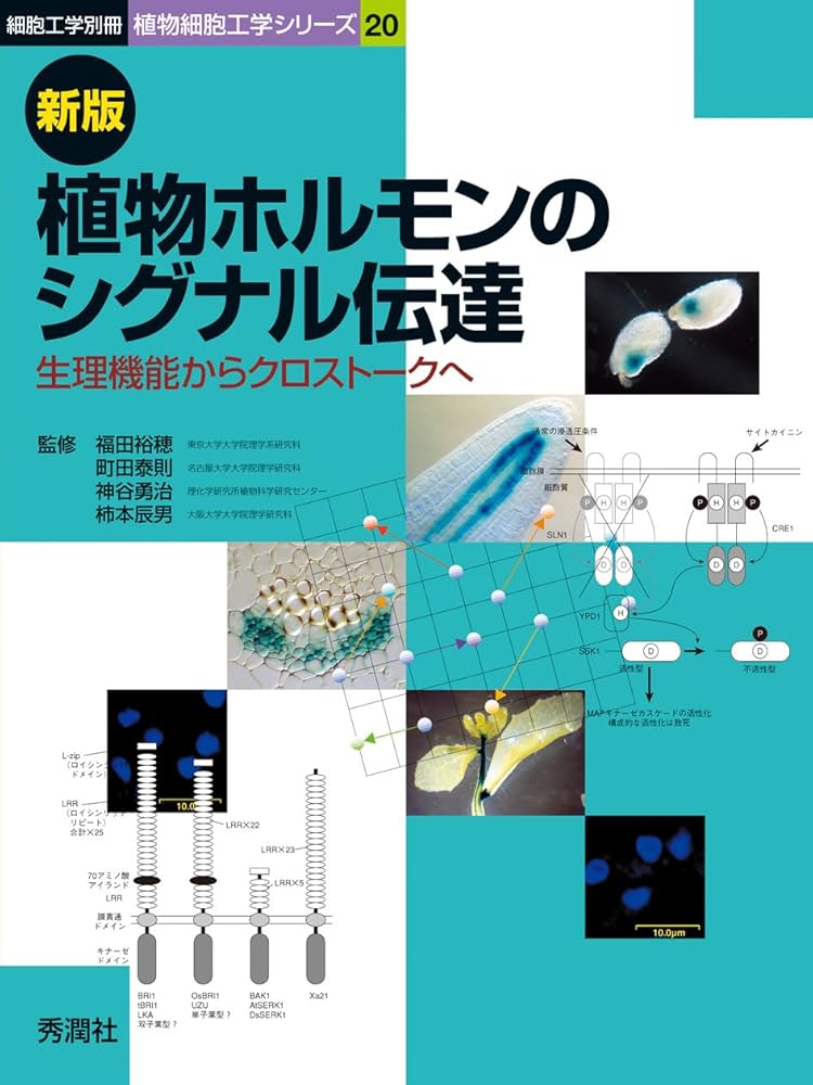 【中古】 植物ホルモンと細胞の形/学会出版センター/今関英雅 植物ホルモンと細胞の形 | 今関 英雅, 柴岡 弘郎 |本 | 通販