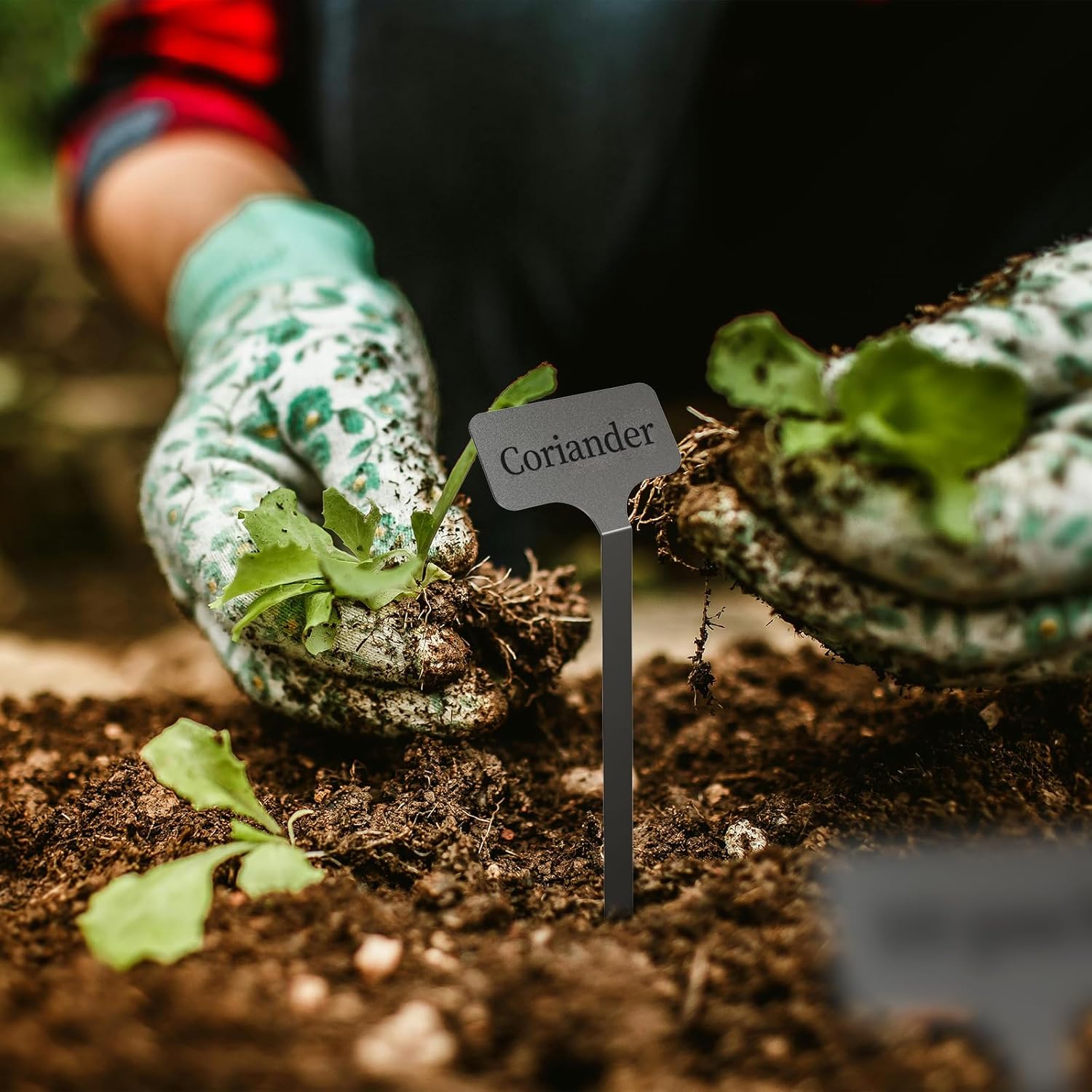 Stainless Steel Plant Labels, Metal Waterproof Plant Markers,Height 12.75 in, Label Area 2.5 in*1.25 in resuable Nursery Tags for Vegetables herb Flower Seed Green House- 20-Pack - Image 6