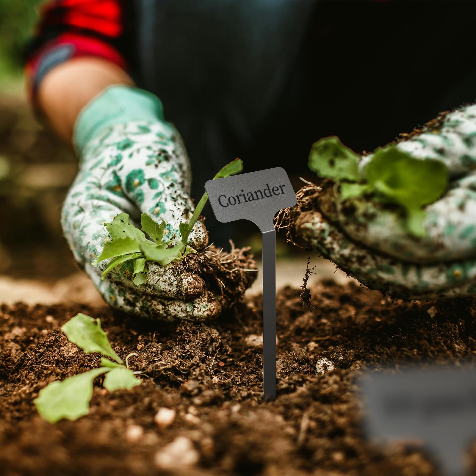 Lot de 10 étiquettes de jardin réutilisables en acier inoxydable, hauteur 32,4 cm, surface d'étiquette 6,3 x 3,2 cm, étiquettes réutilisables pour légumes, herbes, fleurs, graines, serres