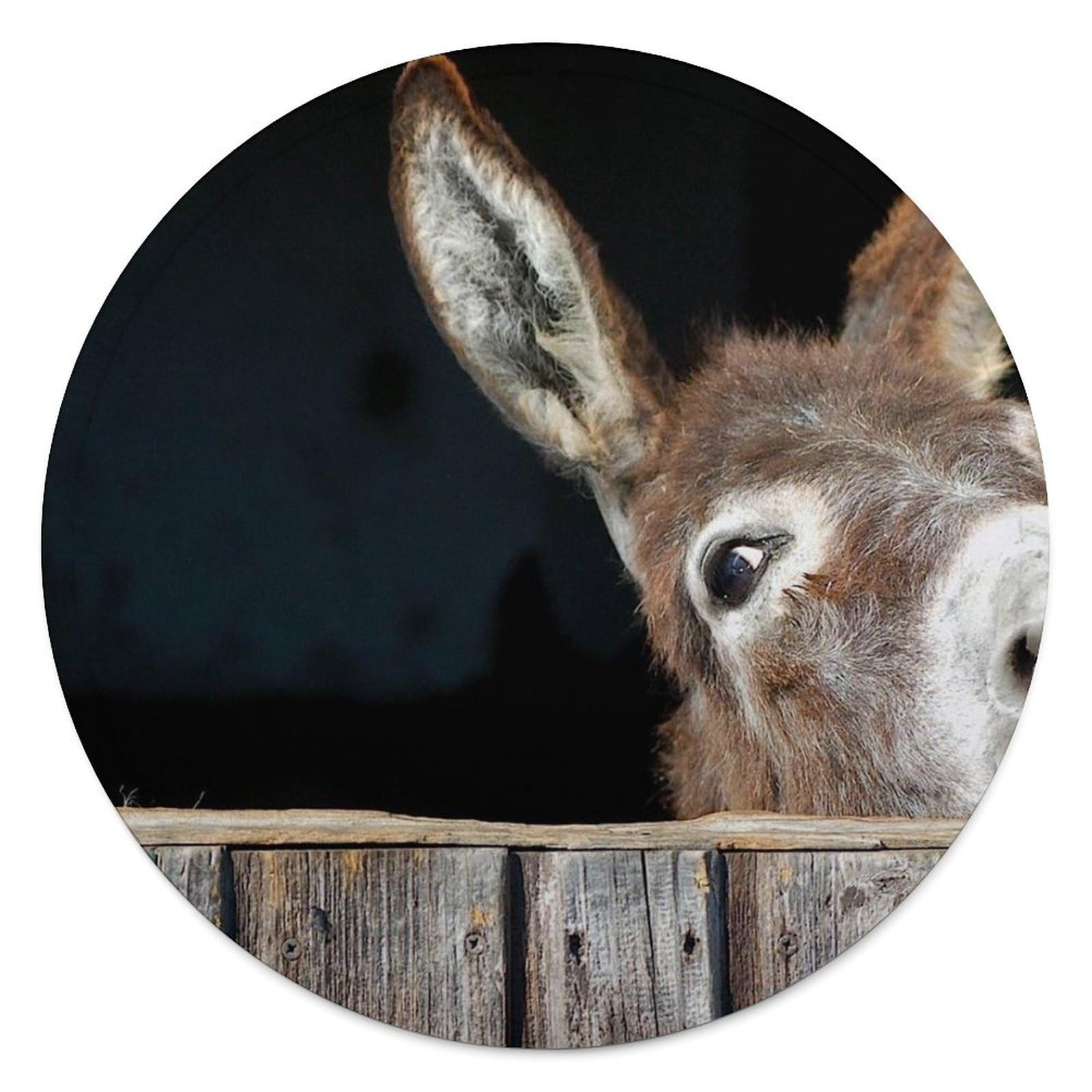 Couverture ronde en flanelle 150cm Funny Donkey pour canapé et maison
