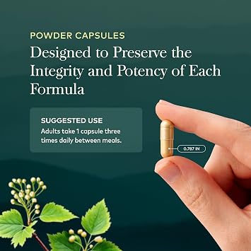 Gaia Herbs St. John's Wort, 60 Vegan Capsules, 60 Servings | Stress Support Supplement, With St. John's Wort*