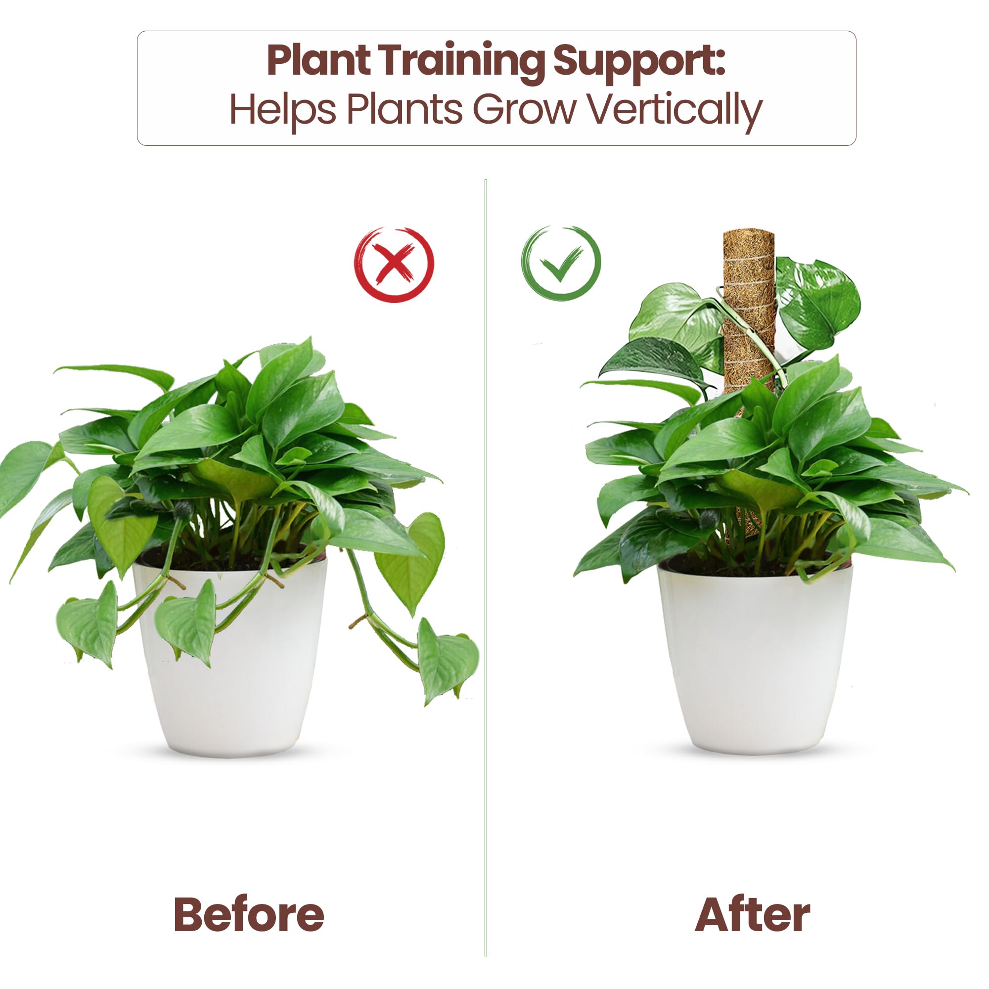 View 4