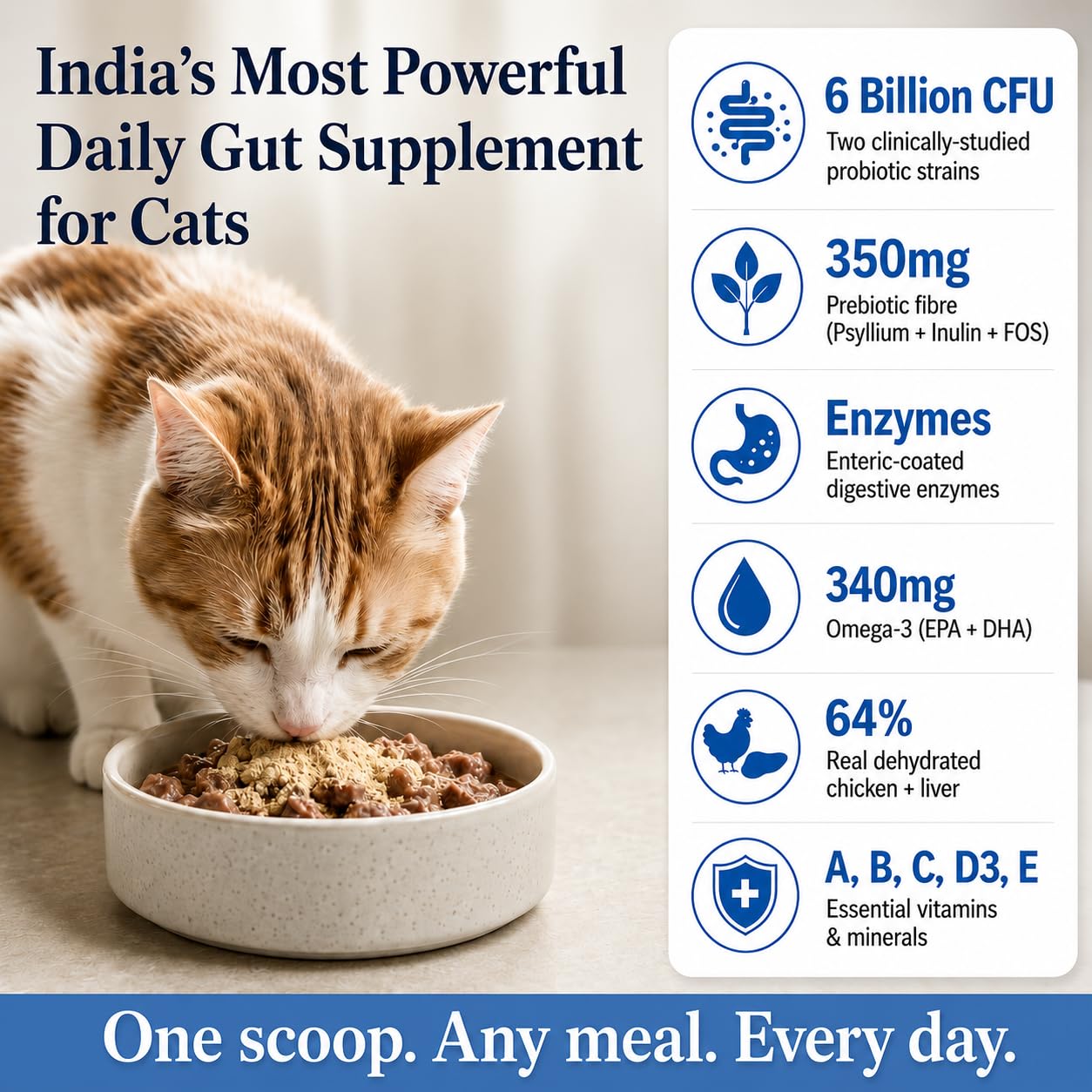 Cat Gut Health Supplement | Targeted Gut Health Support | 6 Billion CFU Probiotics for Loose Stools, Vomiting, Gas and Paw Licking | L-Methionine for Urinary Health | 300g — Amazon image 2