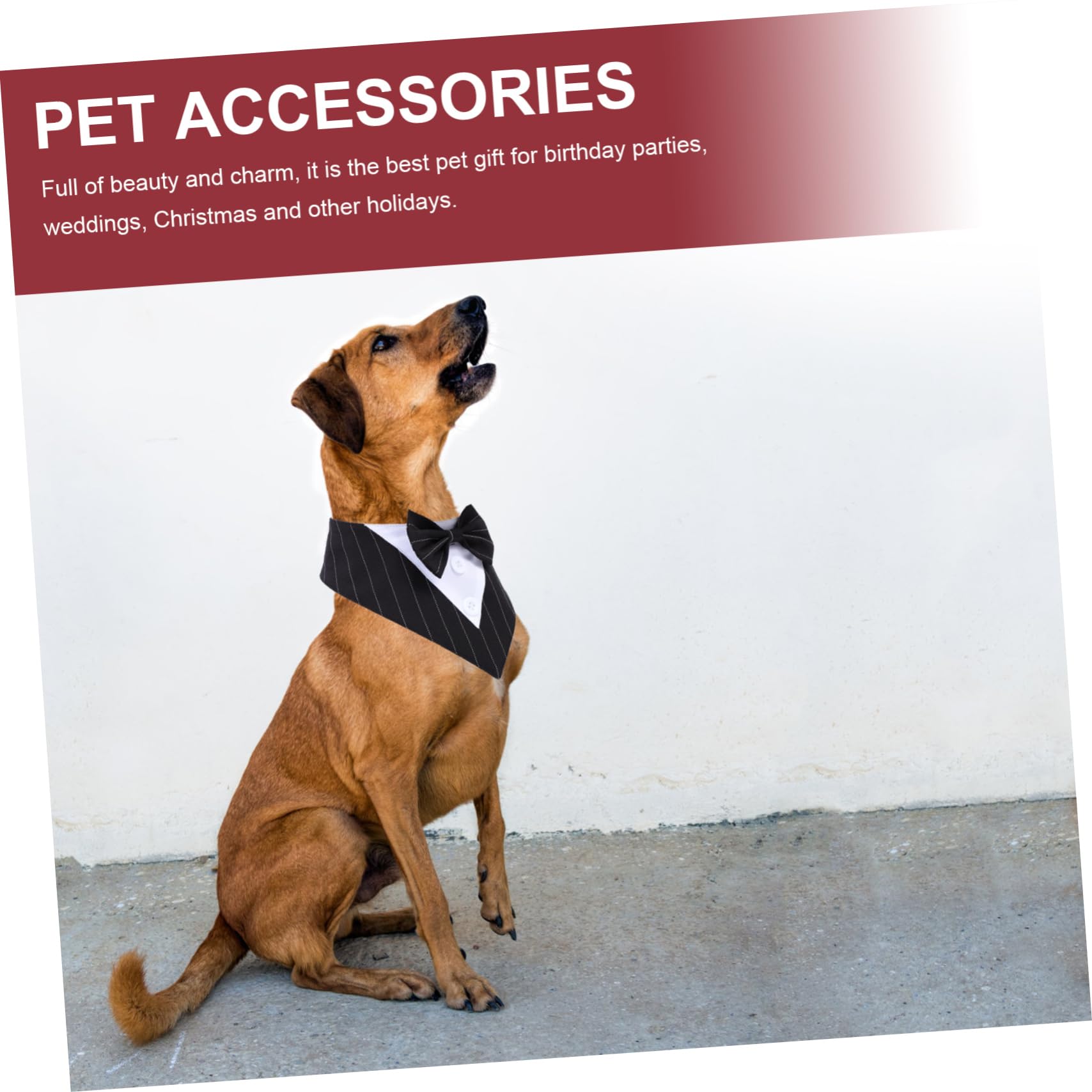 Kisangel 3pièces Bandana pour Chien Serviette De pour Animaux De Compagnie Collier Décoratif Pratique Et Élégant pour Mariage Et Événements Spéciaux