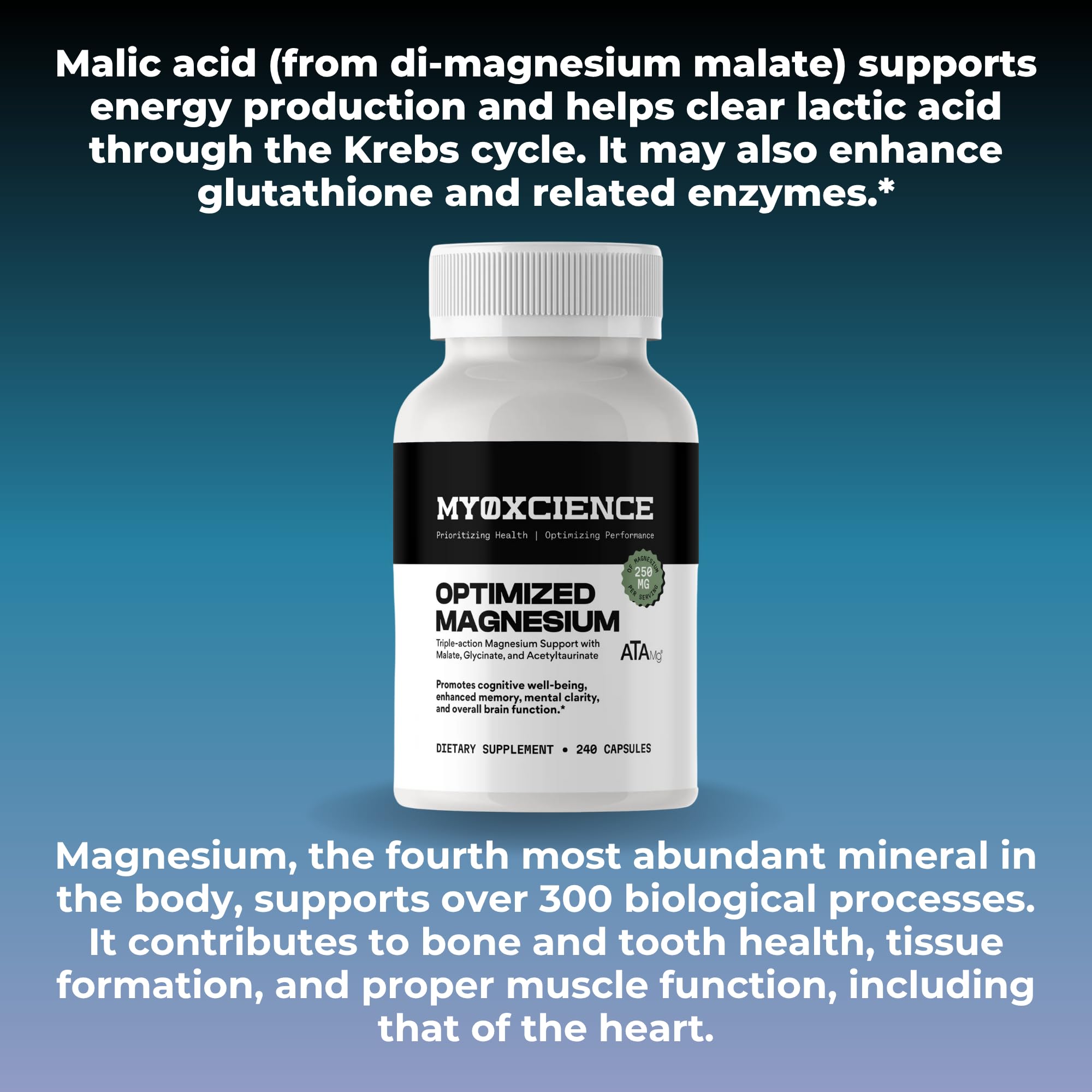 can i take glutathione and magnesium glycinate together Amazon.com: MYOXCIENCE Optimized Magnesium Glycinate + Magnesium Taurate (as ATAmag®) for High Brain Bioavailability to Support Stress Relief and Sleep
