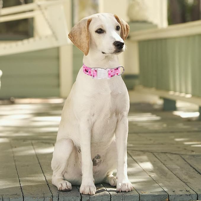 Collar para perro Serijoars con estampado floral, talla M miniatura 2